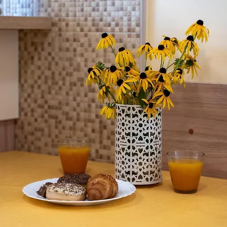 Apartment Narcis