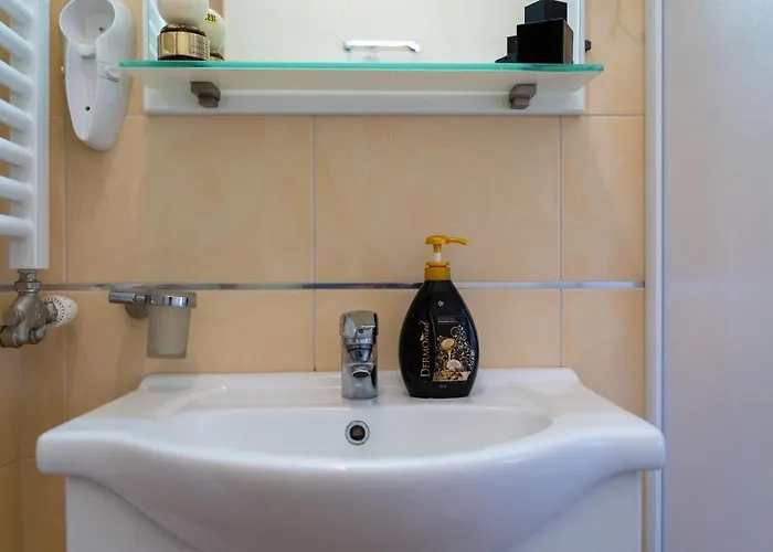 Апартаменты Narcis Златибор