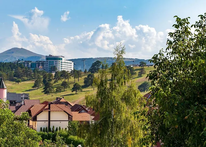 Narcis * 兹拉蒂博尔