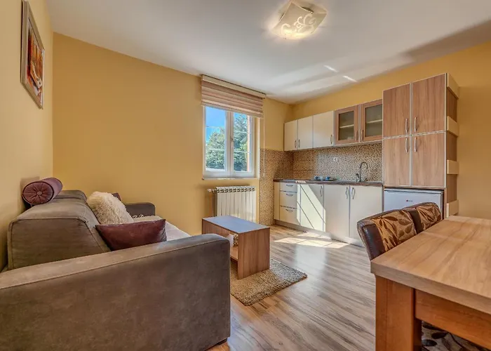 Narcis 兹拉蒂博尔