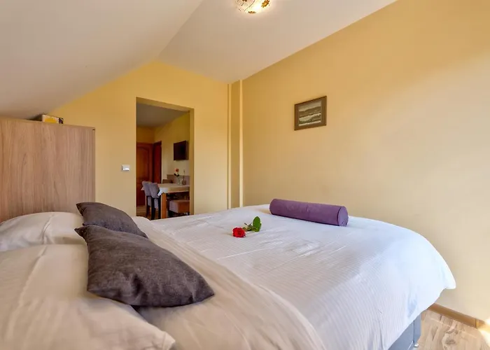 Narcis * 兹拉蒂博尔