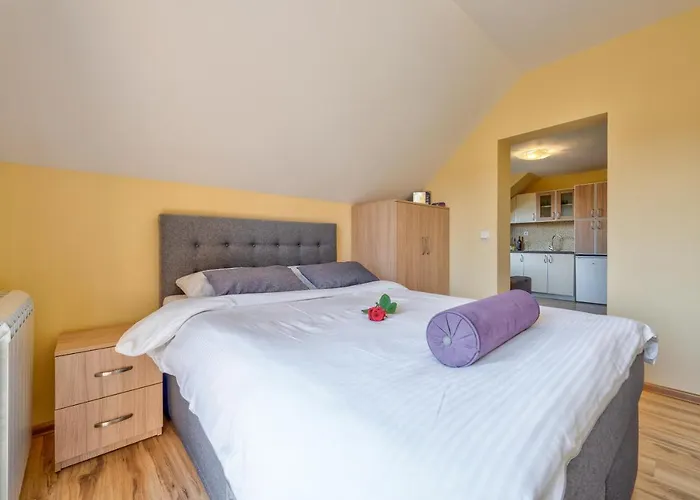 Narcis 兹拉蒂博尔