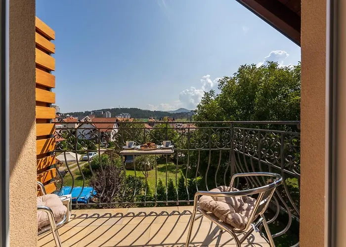 Narcis * 兹拉蒂博尔