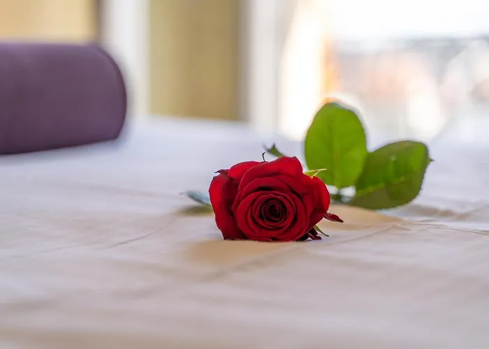 Narcis * Златибор