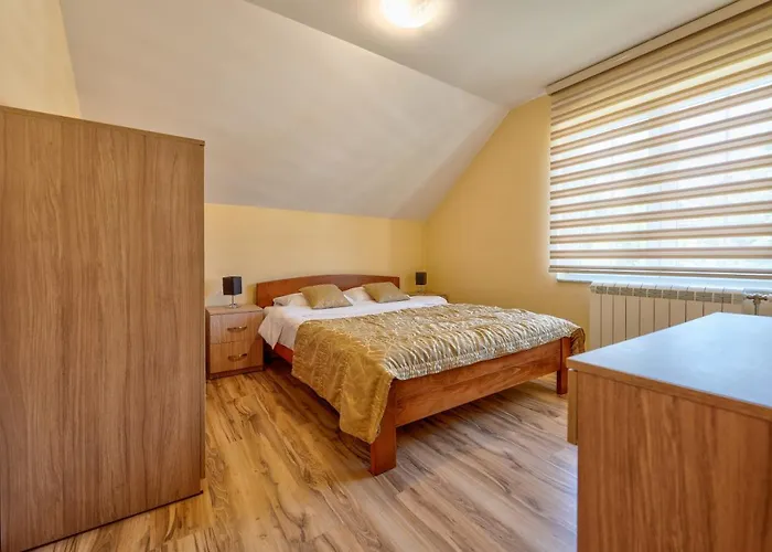 Narcis 兹拉蒂博尔