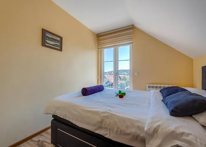 Narcis Златибор