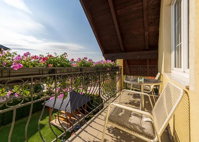 Narcis Златибор